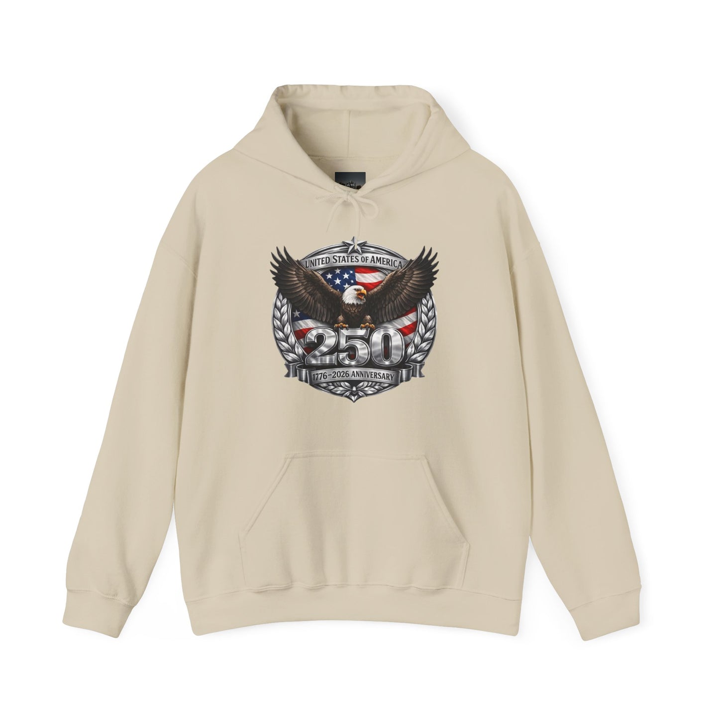 #250 Patriotic Bald Eagle 250 United States Emblem Hoodie