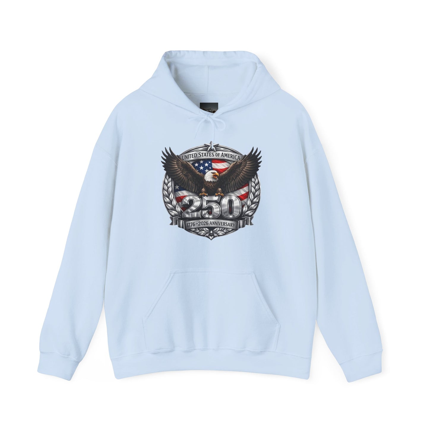 #250 Patriotic Bald Eagle 250 United States Emblem Hoodie