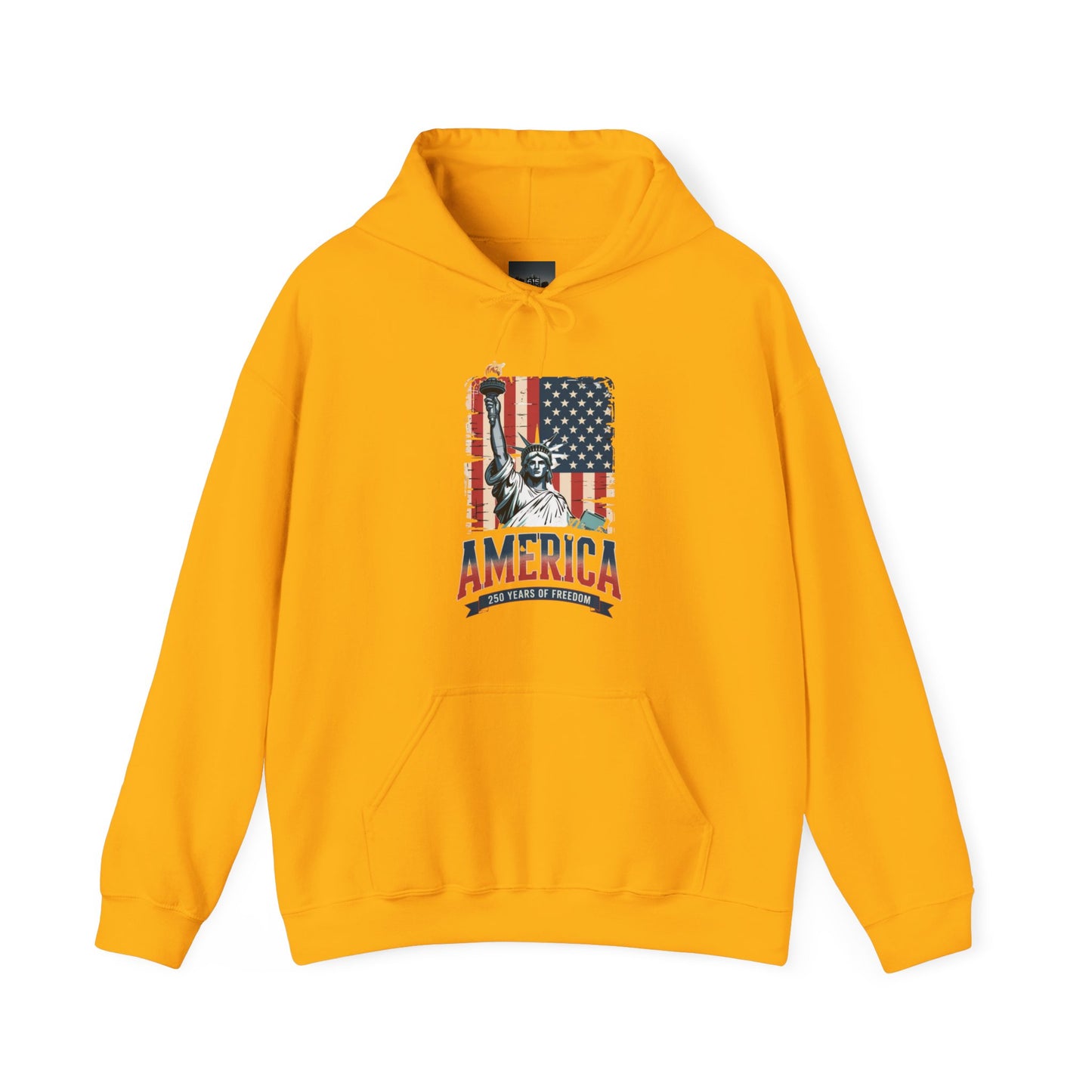 #250 Statue of Liberty American Flag 'America' Patriotic Independence Day Hoodie