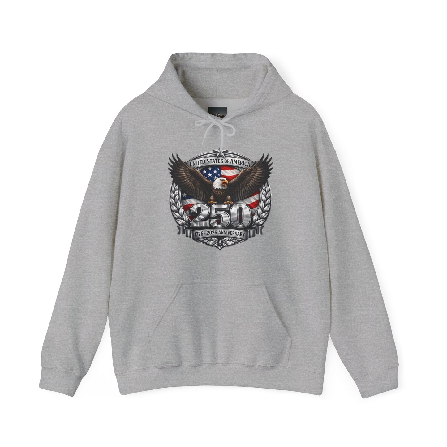 #250 Patriotic Bald Eagle 250 United States Emblem Hoodie