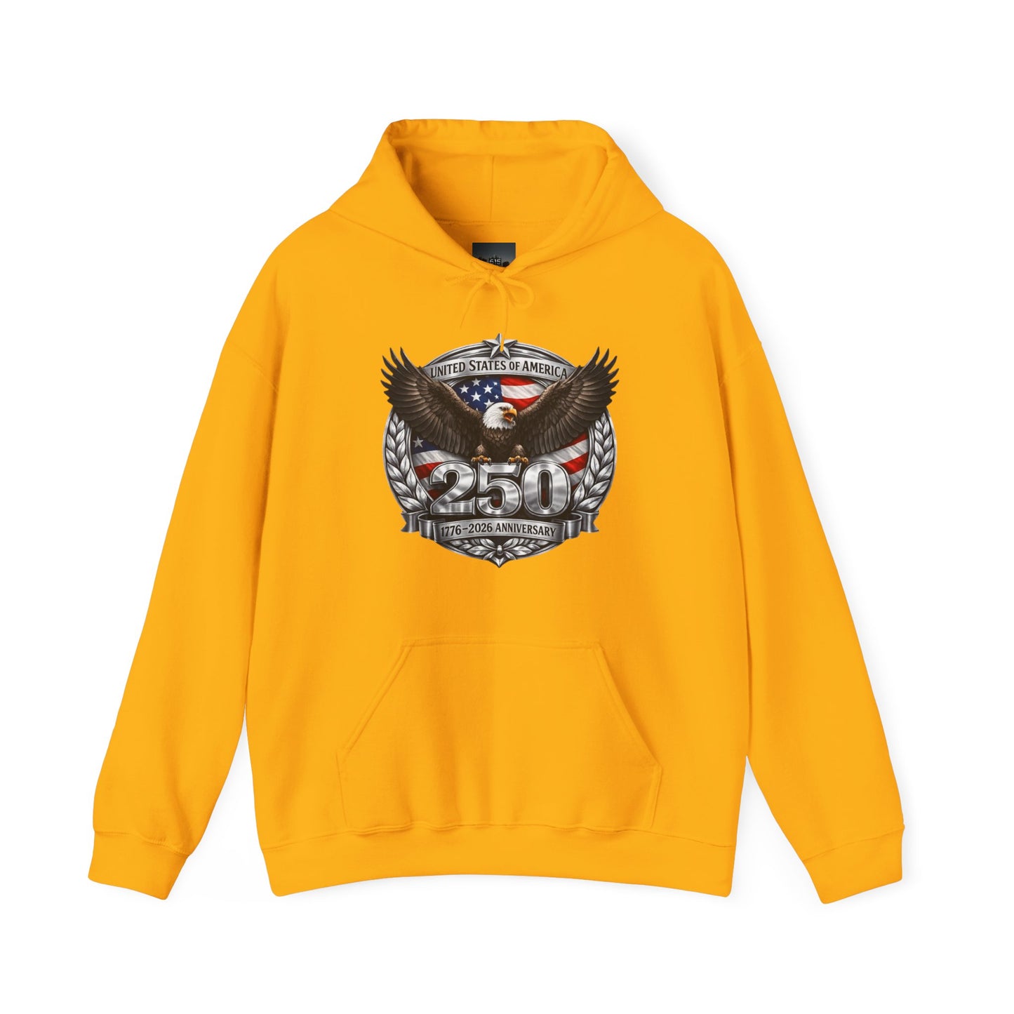 #250 Patriotic Bald Eagle 250 United States Emblem Hoodie