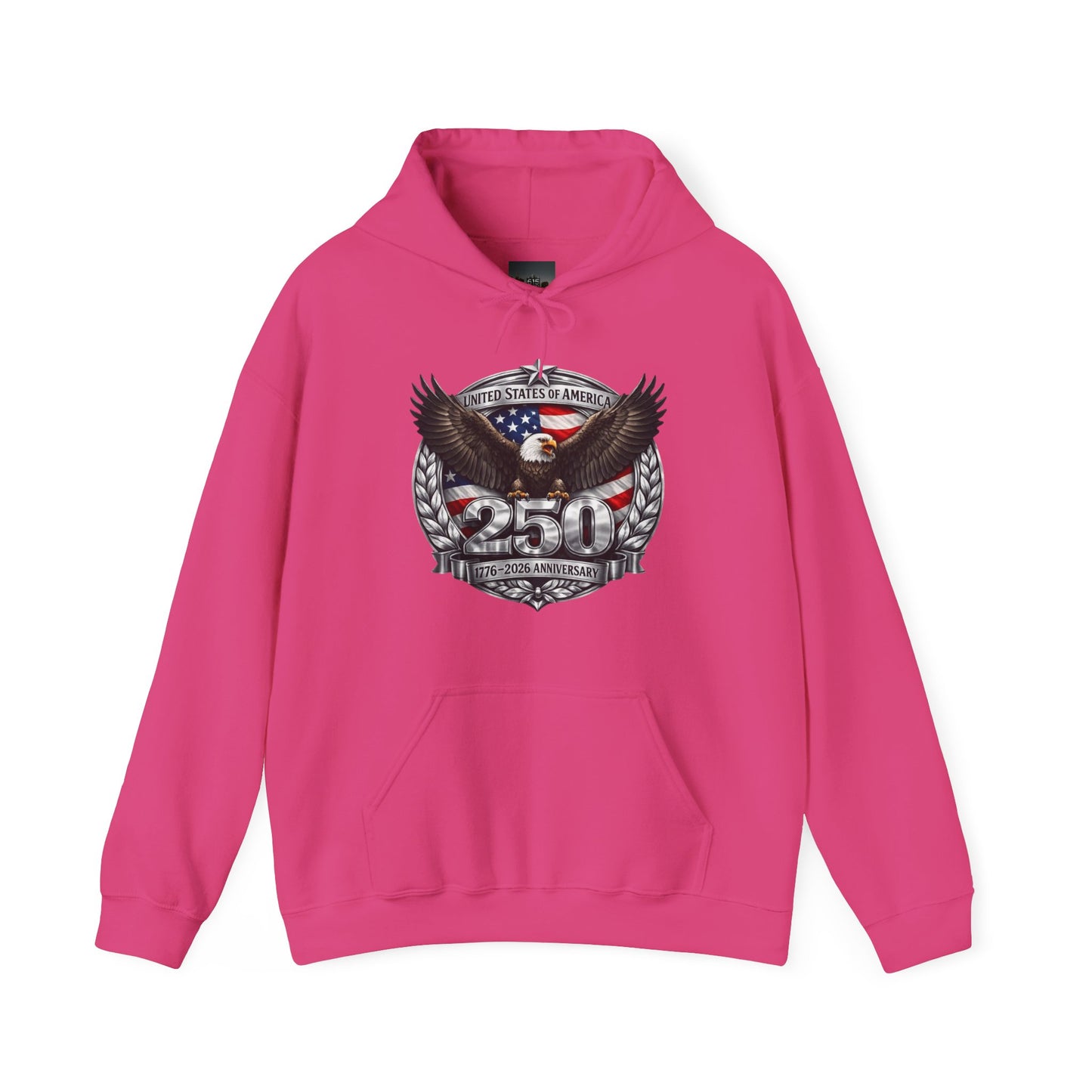 #250 Patriotic Bald Eagle 250 United States Emblem Hoodie