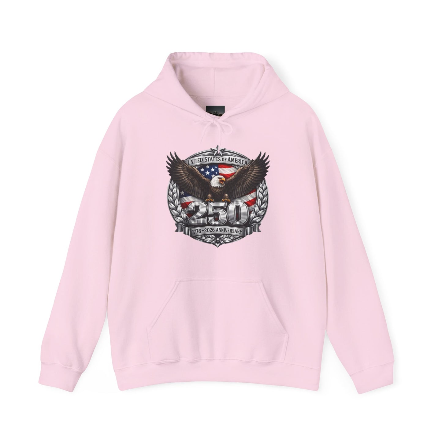 #250 Patriotic Bald Eagle 250 United States Emblem Hoodie